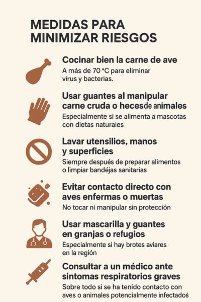 dieta cruda prevención humanos