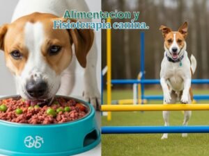 alimentación natural y fisioterapia canina