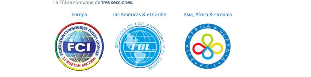 Clubes de Entrenamiento Internacional para "Perros de Trabajo y Servicio" 17