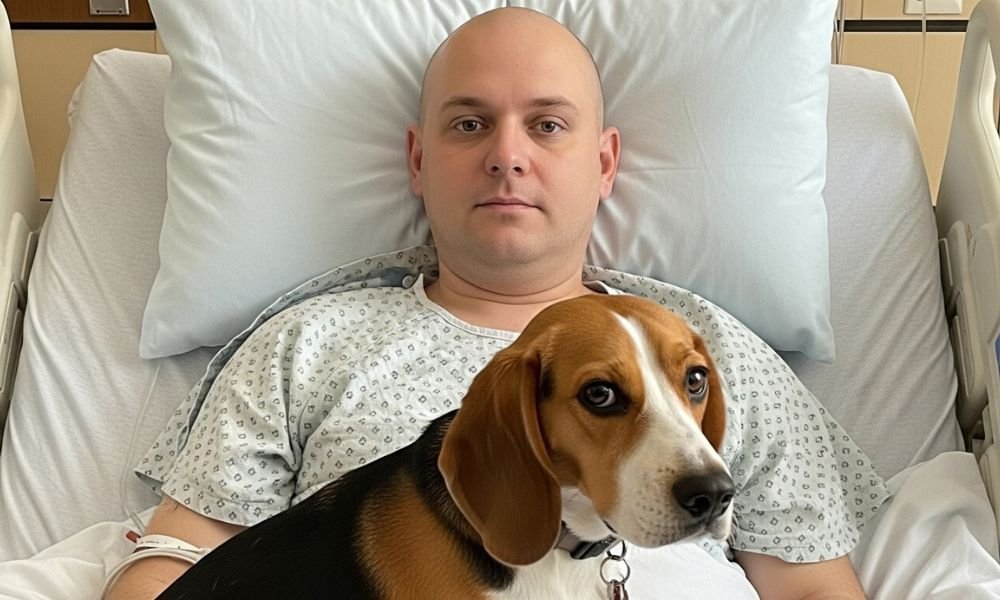 Belle, la Beagle que marcó el 911: un Evento Histórico de amor, instinto y salvación 3 Belle la Beagle en el hospital con kevin