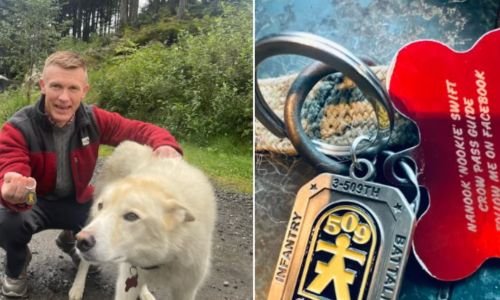 (15) Nanook, el husky que salvó a una joven sorda tras una caída de 700 pies (Alaska, 2018) 6 nanook "nookie"