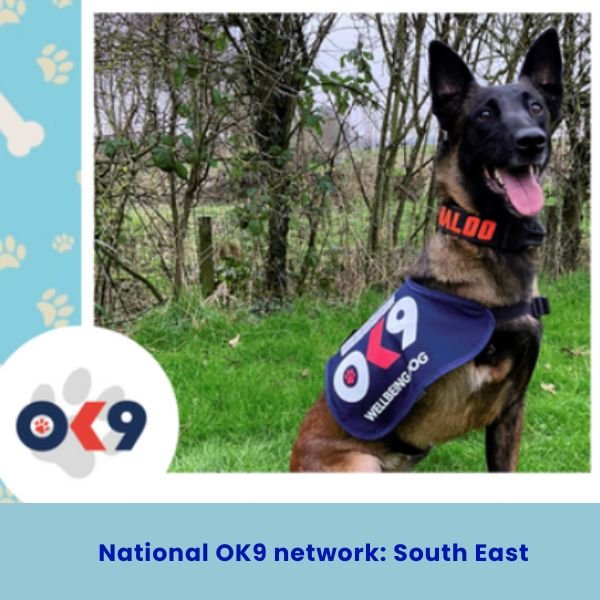 Baloo Ganadora del "HERO DOG oscar kilo