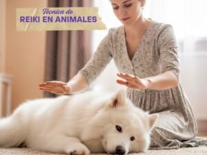 reiki en animales notidogcats.com