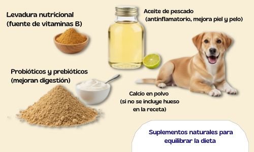 Alergias Alimentarias en Mascotas: Diagnóstico Eficaz Pruebas y Dietas Recomendadas 8
