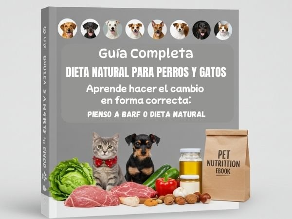 Comida Casera o Dieta BARF