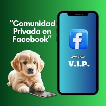 CURSO: "MARKETING DIGITAL PARA VETERINARIAS" 19