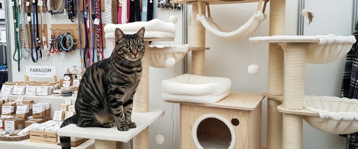 Accesorios para Mascotas y Marketing