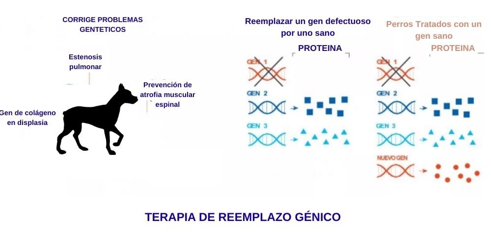 terapia de reemplazo