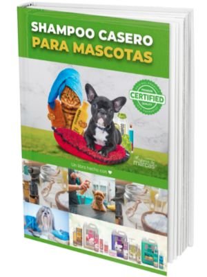 Shampoo Casero para mascotas