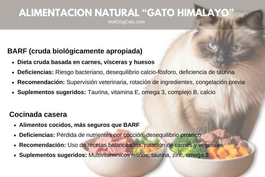 alimentacion natural del gato himalayo