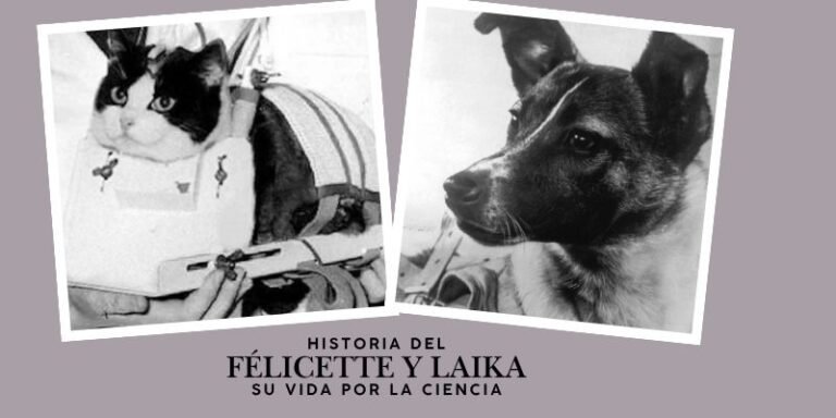 Félicette y Laika