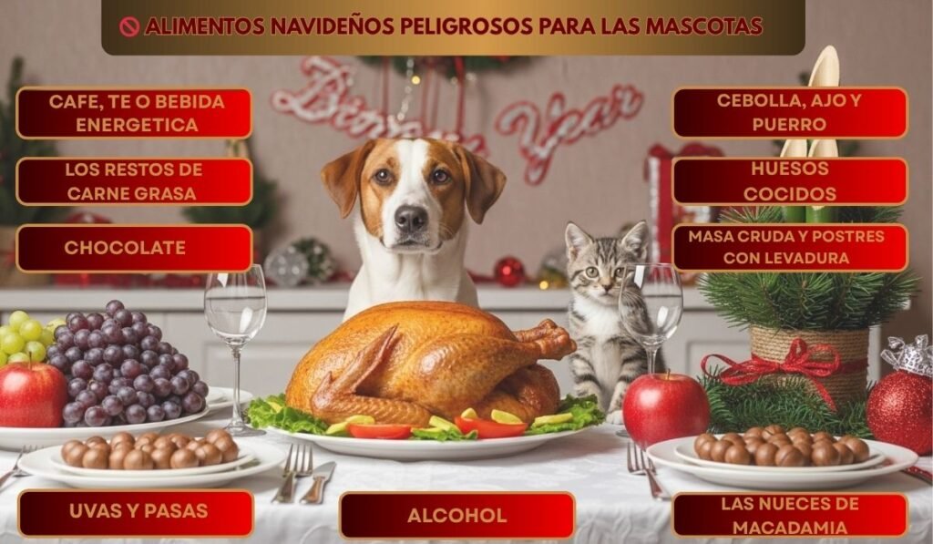 (25) Evita intoxicaciones por alimentos navideños en tus mascotas🐾 2 Intoxicaciones en Mascotas