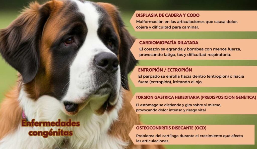 enfermedades congenitas