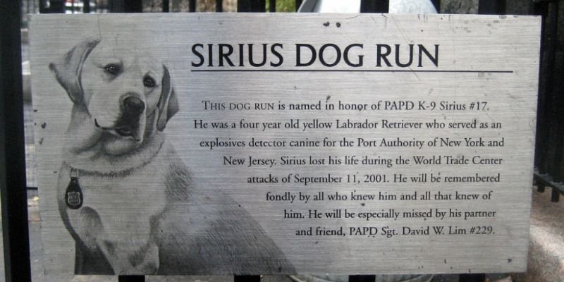 Sirius el único perro que murió en el 11-s