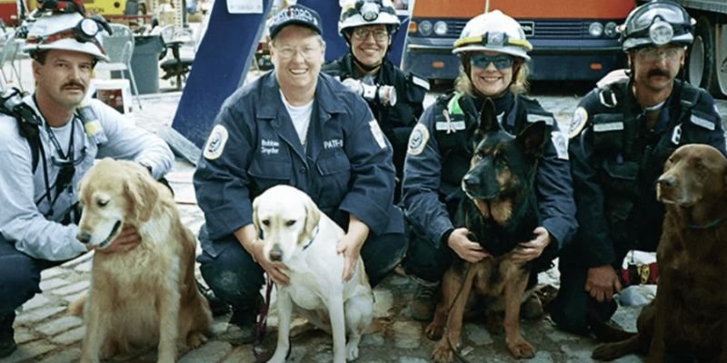 algunos perros que lograron rescatar mas sobrevivientes