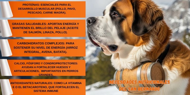 nutrientes esenciales