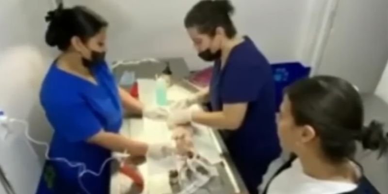 La Historia del Pinky