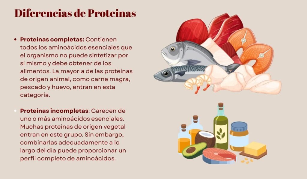 Proteína en perros y gatos