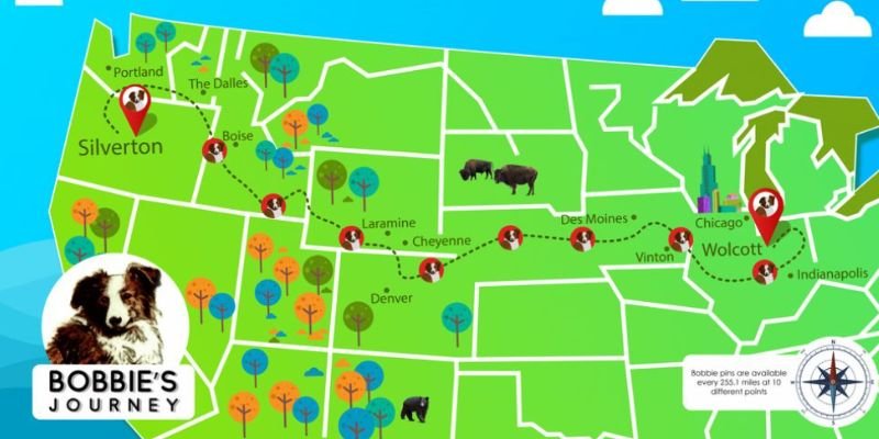(40) Bobbie el Perro Maravilla. El increíble regreso de 4800 km a su hogar. 4 RUTA DE Bobbie el Perro Maravilla