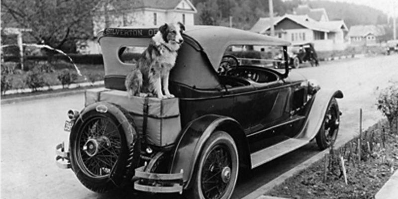 (40) Bobbie el Perro Maravilla. El increíble regreso de 4800 km a su hogar. 3 Bobbie el Perro Maravilla