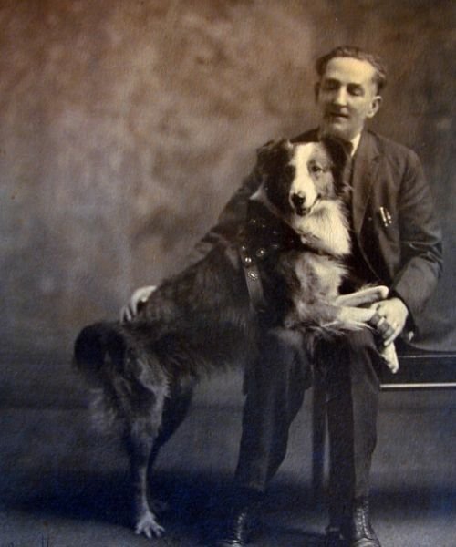 (40) Bobbie el Perro Maravilla. El increíble regreso de 4800 km a su hogar. 7