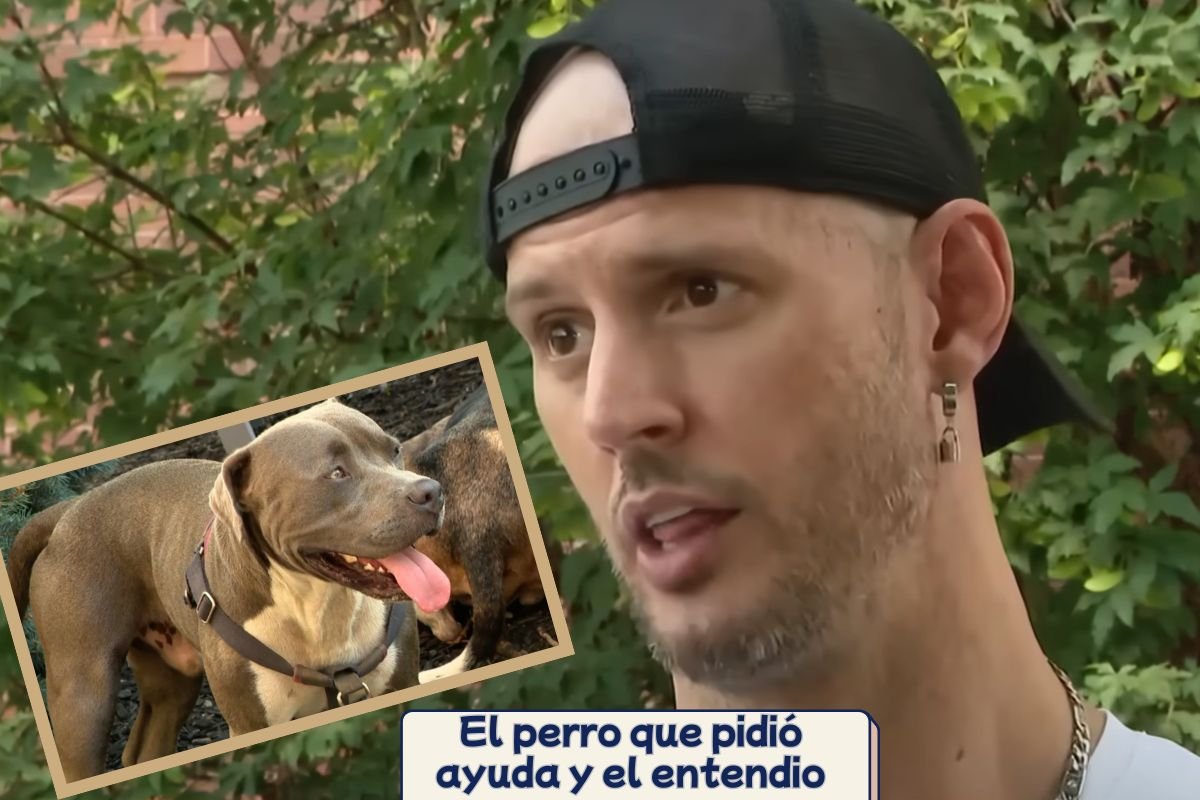 (38) Único el perro que pidió ayuda y el hombre escuchó (Gary & East O.) 1