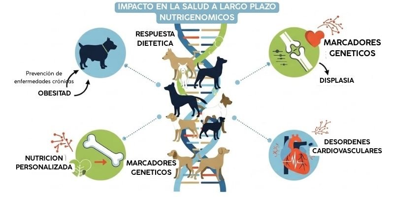 (32) Nutrigenómica y Nutrigenética en Perros y Gatos. Esencial para una Nutrición Personalizada 6