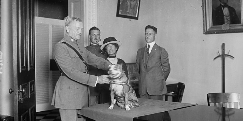 Stubby El perro Sargento