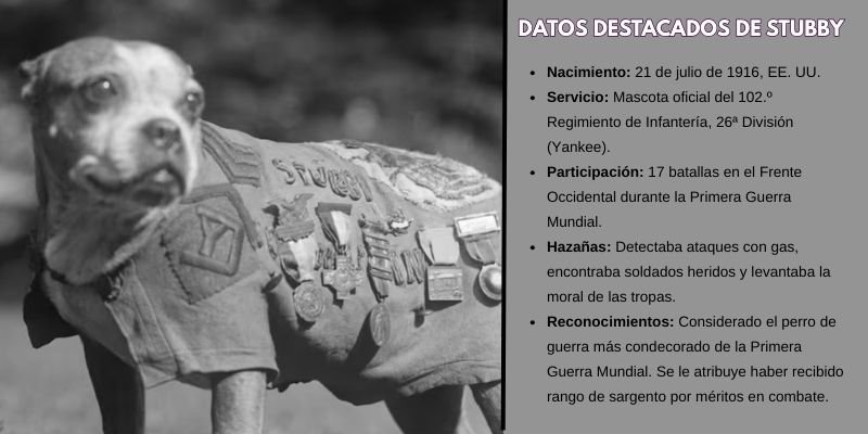 Stubby El perro Sargento