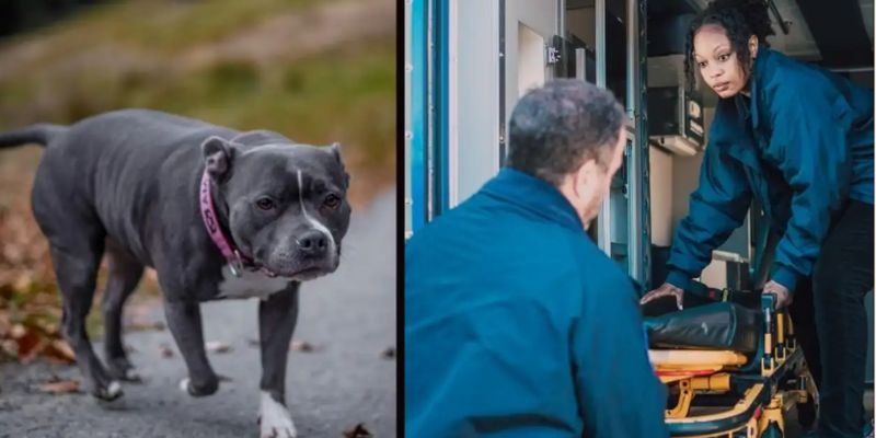 (38) Único el perro que pidió ayuda y el hombre escuchó (Gary & East O.) 4 el perro que pidió ayuda