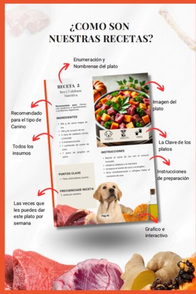 Ebook: MEGA PACK Recetas de Dieta BARF Para PERROS y GATOS 5