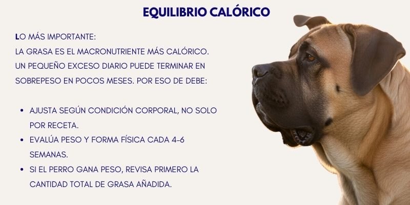 (43) Macronutrientes en Perros y su Balance Esencial Según el tipo de Alimentación. 7