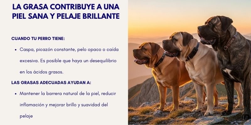 (43) Macronutrientes en Perros y su Balance Esencial Según el tipo de Alimentación. 4