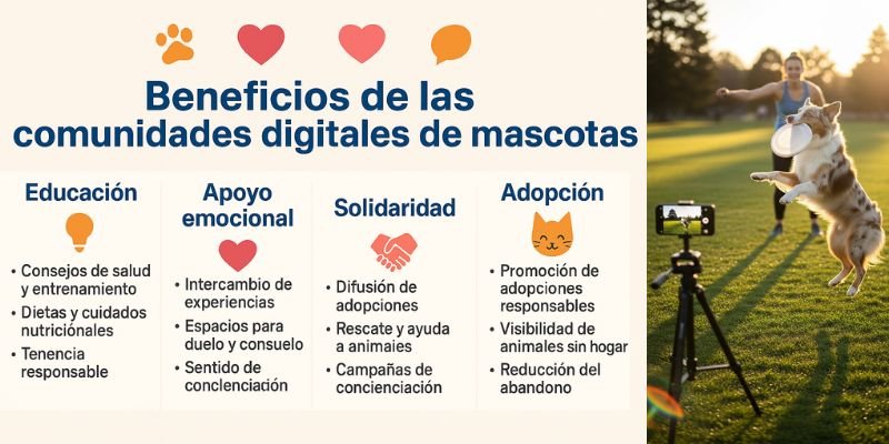 (44) Redes sociales y mascotas: cómo influyen en la creación de comunidades digitales 2 Redes sociales y mascotas - Beneficios de las comunidades