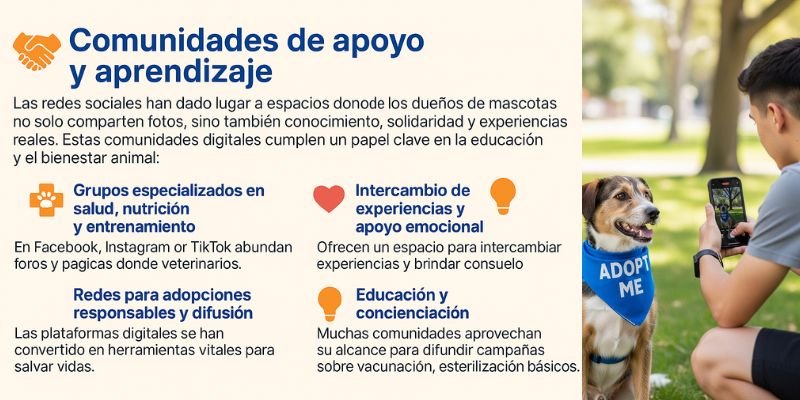 (44) Redes sociales y mascotas: cómo influyen en la creación de comunidades digitales 3 Redes sociales y mascotas - comunidades de apoyo y aprendizaje