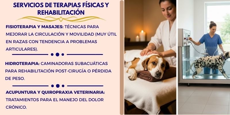 Bienestar Natural en Mascotas y los servicios de terapias físicas y rehabilitación.