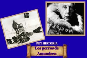 Los perros de Amundsen