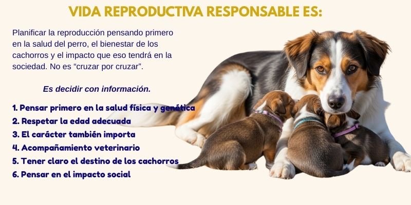 (45) Vida Reproductiva Responsable en perros. “Mejor Calidad de vida” 2