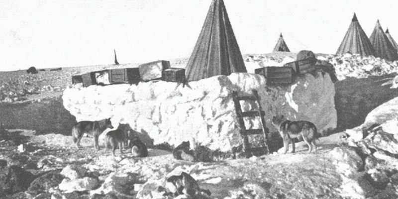 (46) Los perros de Amundsen: Una historia de valor y lealtad 6