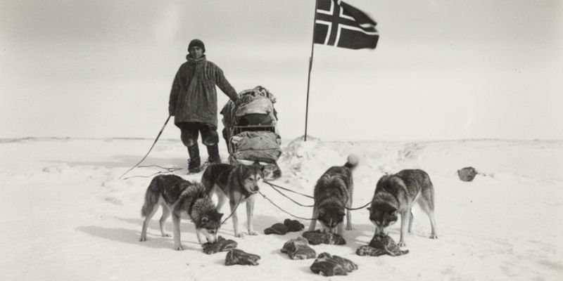 (46) Los perros de Amundsen: Una historia de valor y lealtad 7
