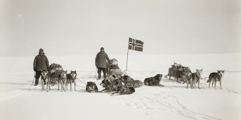 (46) Los perros de Amundsen: Una historia de valor y lealtad 9