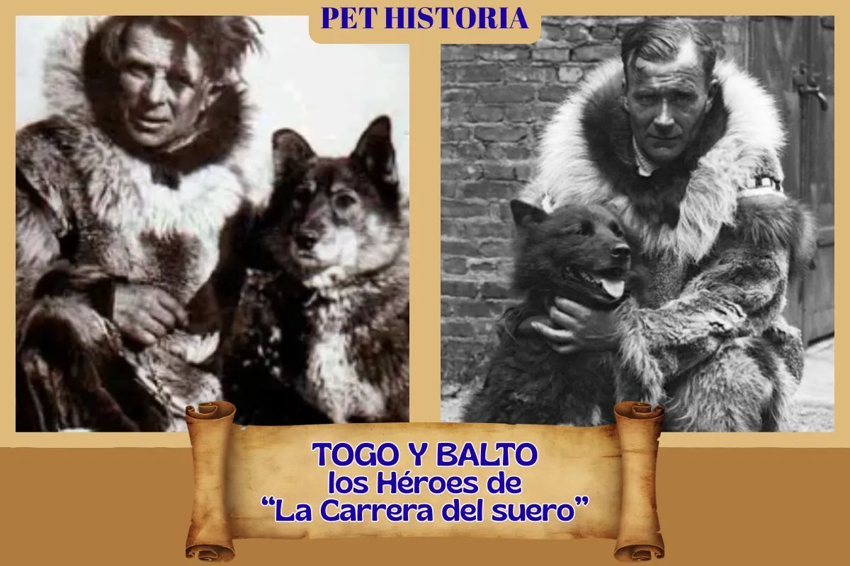 (52) La Carrera del Suero: Togo y Balto, dos Valientes héroes en relevos 1