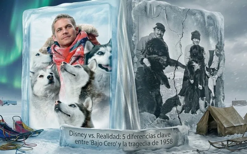 (55) Rescate en la Antártida: Historia Real y Ficción Fascinante 5 diferencias de la pelicula con la realidad