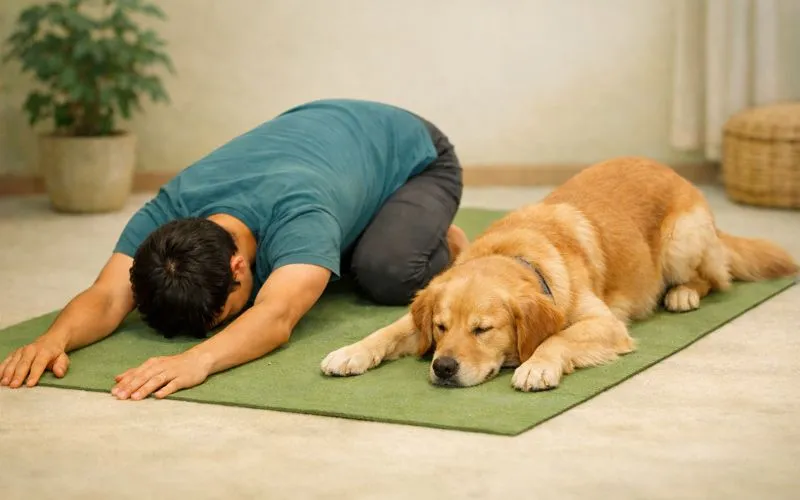 Doga