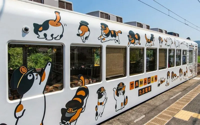 (59) La historia de Tama. La Gata que salvo la línea ferroviaria Kishigawa 2