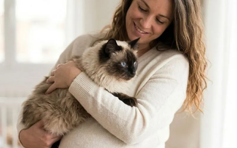 (56) La toxoplasmosis: Su origen, mitos del arenero y cómo prevenirla en casa para evitar la zoonosis 4