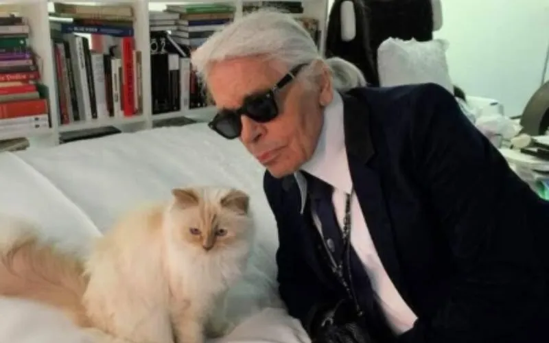 (62) Choupette – La Formidable gata de Karl Lagerfeld 2 CHOUPETTE