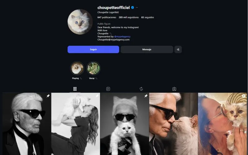 (62) Choupette – La Formidable gata de Karl Lagerfeld 8