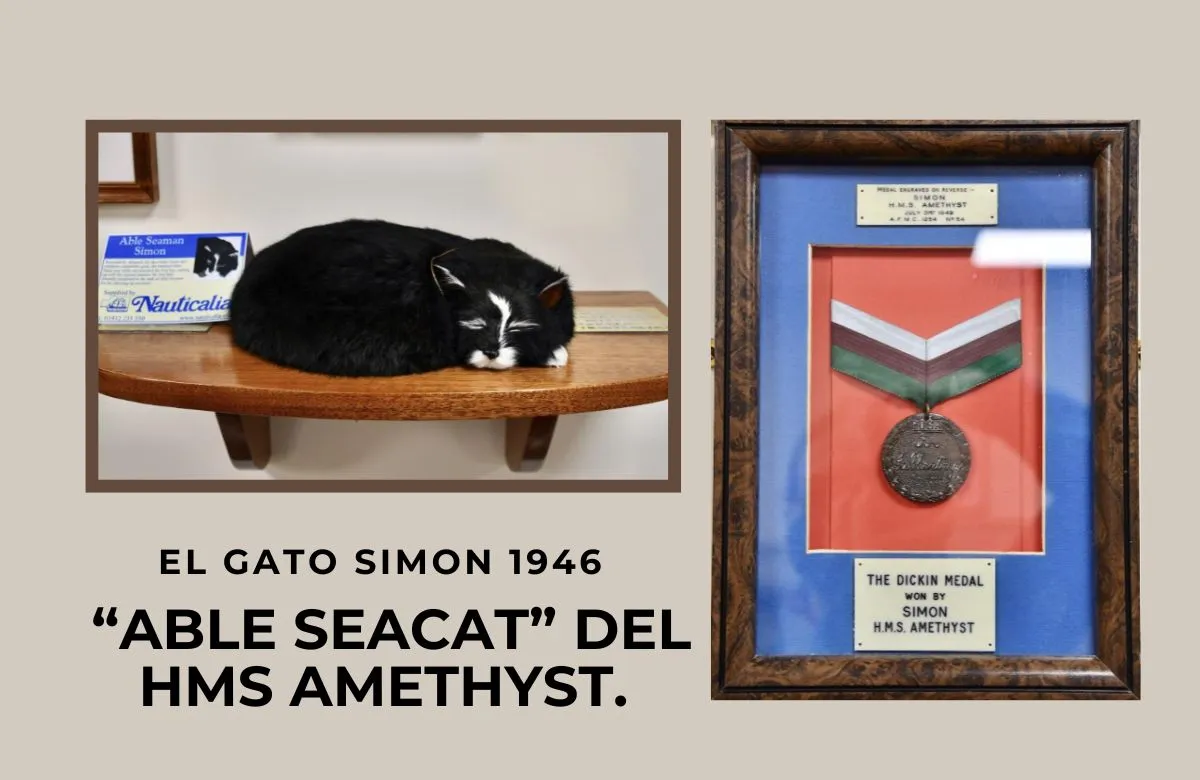 (63) El gato Simón: el minino que se convirtió en héroe de guerra a bordo del HMS Amethyst 1