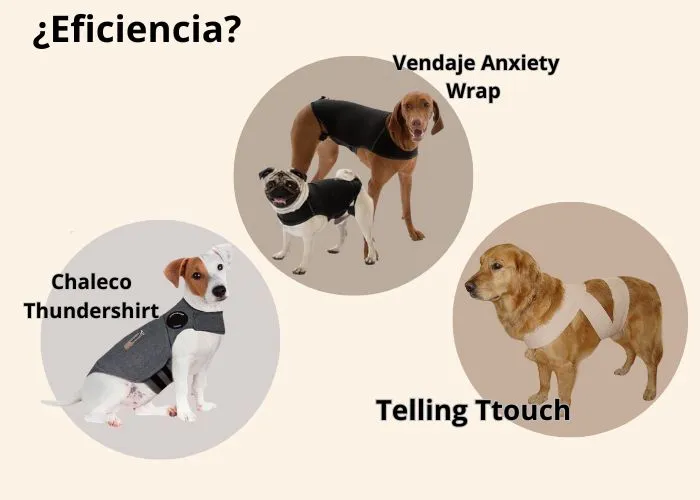 (65) El método Tellington TTouch: cómo la modulación del sistema somatosensorial puede cambiar la conducta de perros y gatos 4
